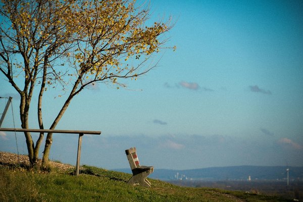 Applications Innovantes Pour un Régime Sans Sucre Réussi : Boostez Votre Santé !